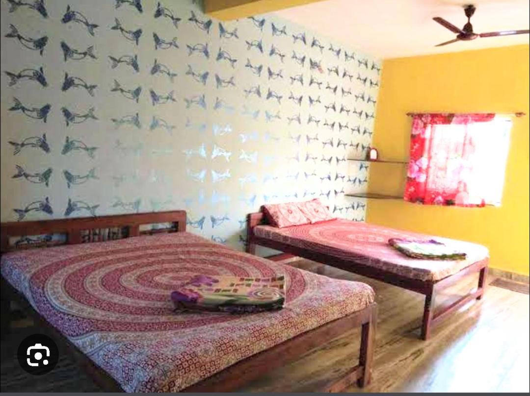 Radhabai Hotel アランボル エクステリア 写真